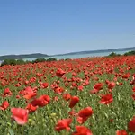 Kisleshegy * Dörgicse