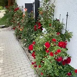 Kisleshegy Villa Dörgicse