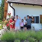 Villa Kisleshegy *