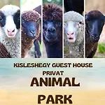 Kisleshegy Vendeghaz Villa Dörgicse