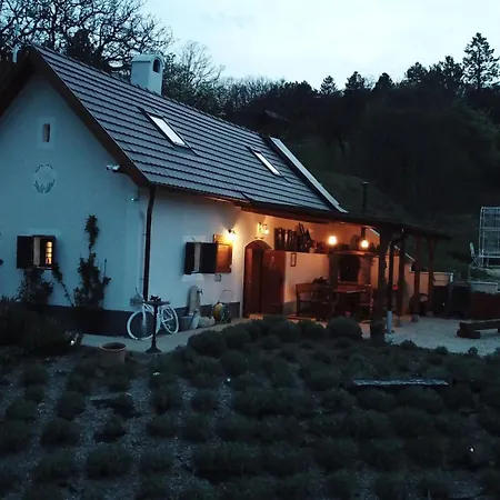 Kisleshegy * Dörgicse