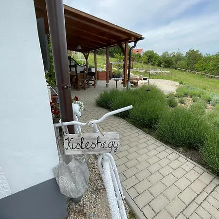 Kisleshegy Doergicse Vendeghaz Sauna & Jakuzzi Villa Dorgicse