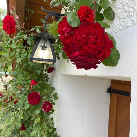 Kisleshegy Vendeghaz Villa Dörgicse