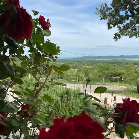 Kisleshegy * Dörgicse