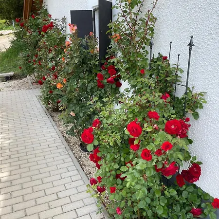 Kisleshegy Vendeghaz Villa Dörgicse