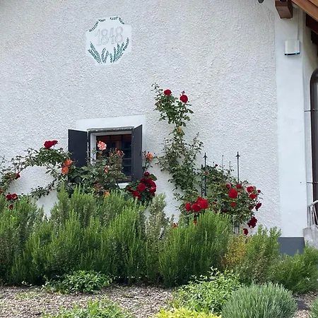 Villa Kisleshegy Doergicse Vendeghaz Sauna & Jakuzzi