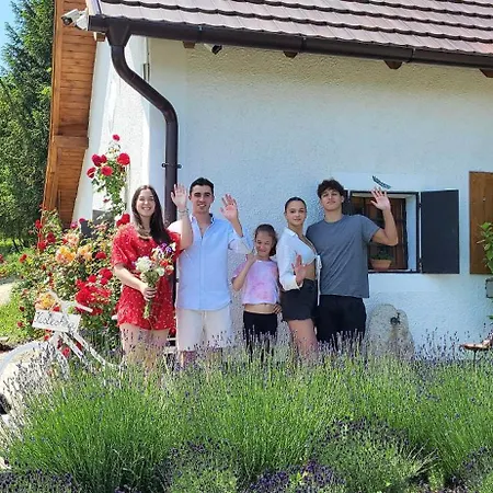Villa Kisleshegy Vendeghaz *