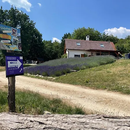 Vilă Kisleshegy Vendeghaz Dörgicse