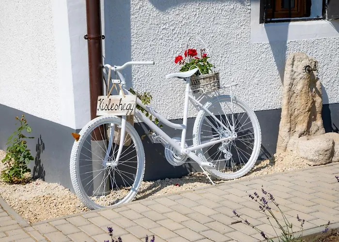 Kisleshegy Vendeghaz Vilă *