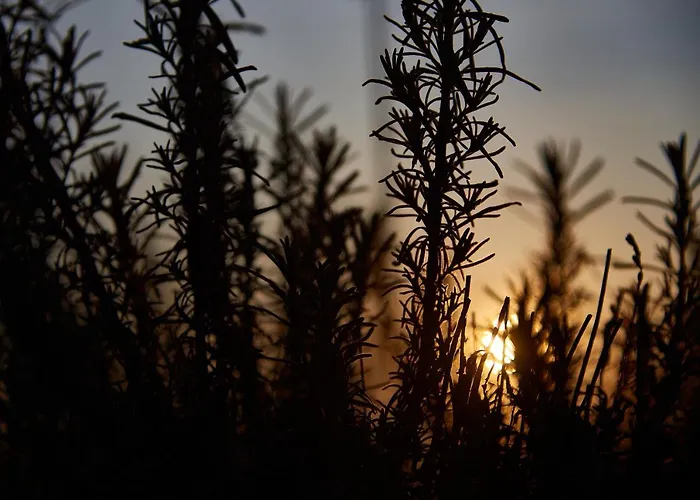 Vilă Kisleshegy Vendeghaz Dörgicse
