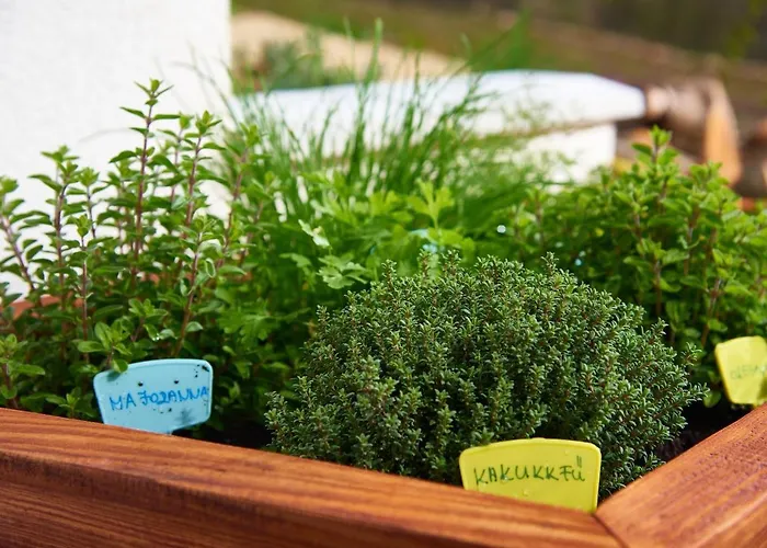 Kisleshegy Vendeghaz Vilă