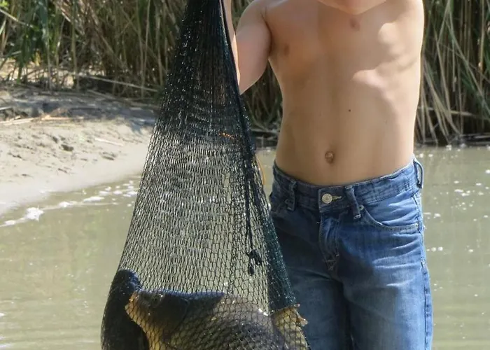 Vilă Kisleshegy Vendeghaz Dörgicse