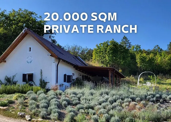 Kisleshegy Vendeghaz Villa Dörgicse