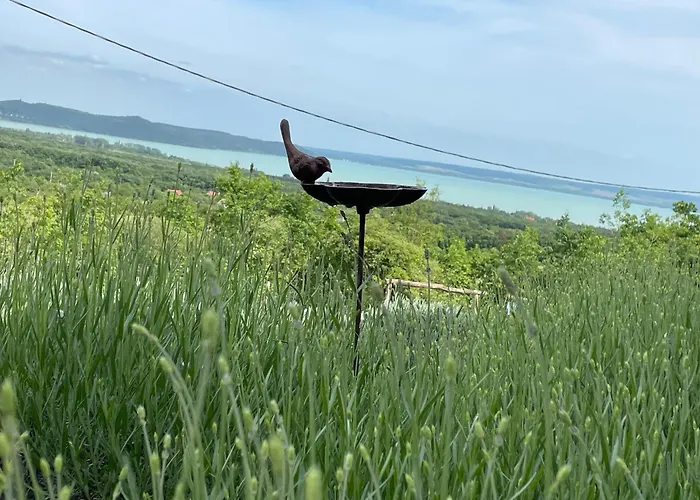 Vilă Kisleshegy Vendeghaz *