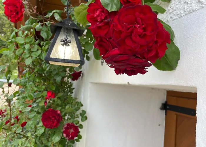 Kisleshegy Vendeghaz Vilă Dörgicse