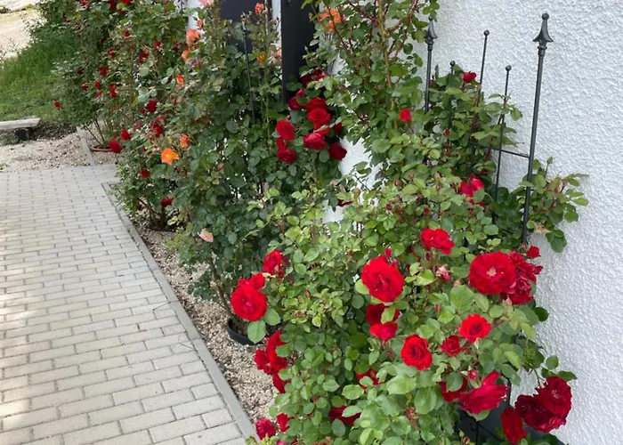 Kisleshegy Vendeghaz Vilă Dörgicse