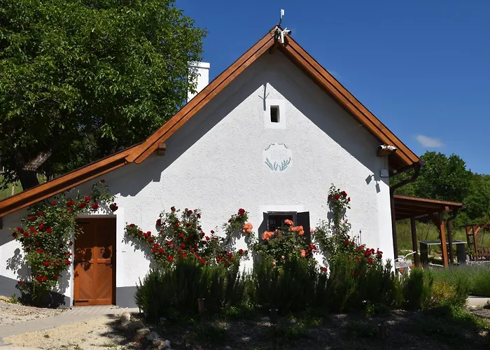 Vilă Kisleshegy Vendeghaz *