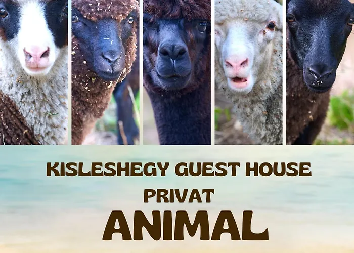 Kisleshegy Vendeghaz Vilă Dörgicse